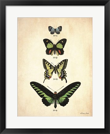 Framed Butterflies 1 Print
