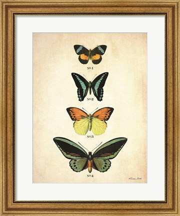 Framed Butterflies 2 Print