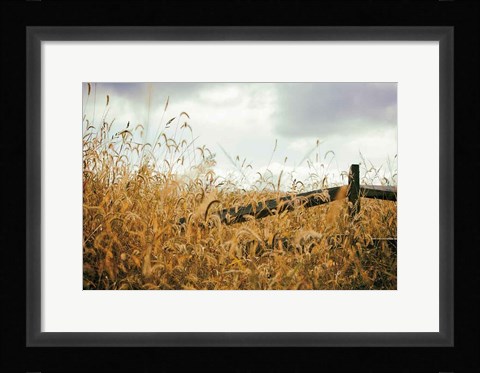 Framed Fencerow Print