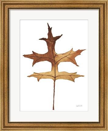 Framed Colors of the Fall I Brown Print