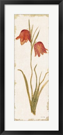 Framed Red Tulip Panel Light Print