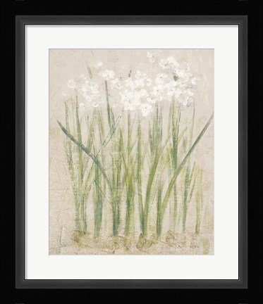 Framed Narcissus Light Print