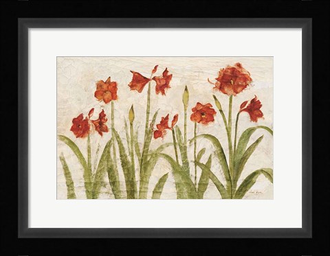 Framed Row of Red Amaryllis Light Print