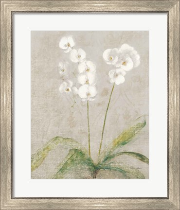 Framed Orchid Light Print