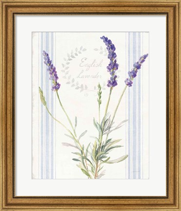 Framed Floursack Lavender IV Print