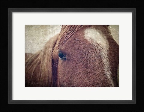 Framed Dew Lashes Print