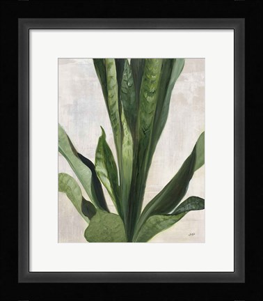 Framed Tropical Study III Print