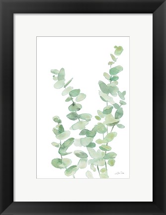 Framed Eucalyptus II Print