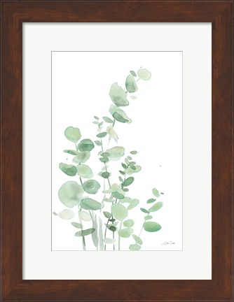 Framed Eucalyptus I Print