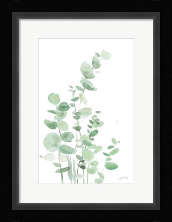 Framed Eucalyptus I Print