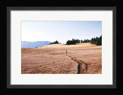 Framed Hurricane Hill I Print