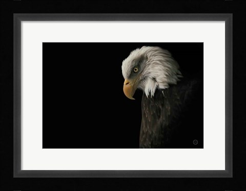 Framed Eagle Bow Print