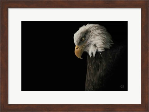 Framed Eagle Bow Print