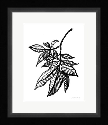 Framed Ink Leaves Print