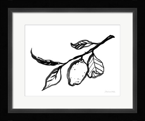 Framed Ink Lemon Print