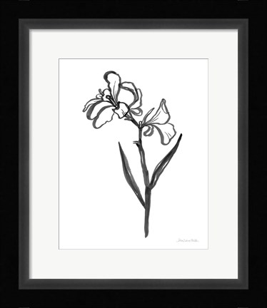 Framed Ink Flower II Print