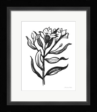 Framed Ink Flower I Print