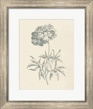 Framed Eden Floral II Print