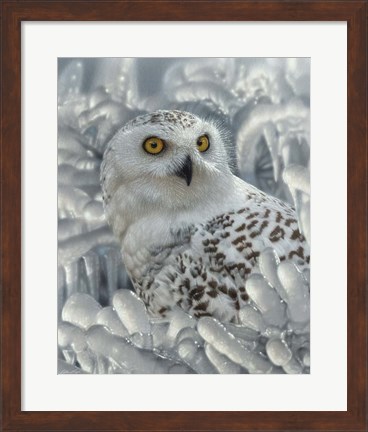Framed Snowy Owl Sanctuary Print