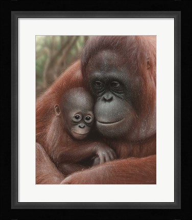 Framed Orangutan Mother and Baby Print