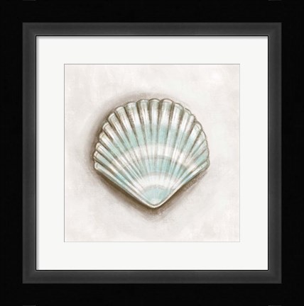 Framed Shell III Print