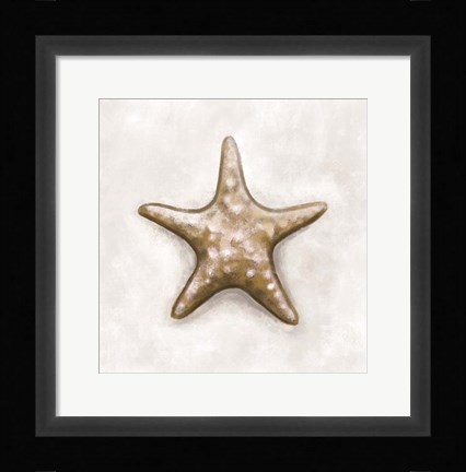 Framed Shell IV Print