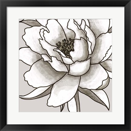 Framed Peony I Print