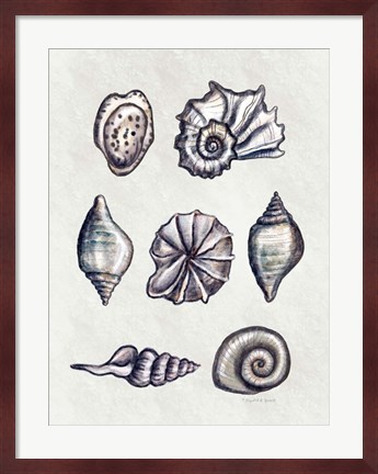 Framed Shells II Print