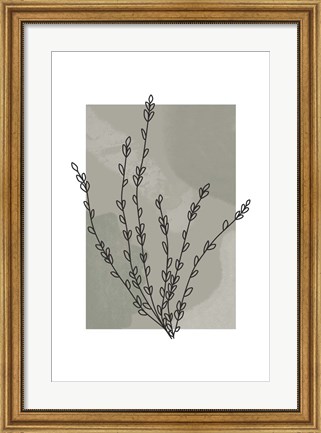 Framed Sage Floral II Print