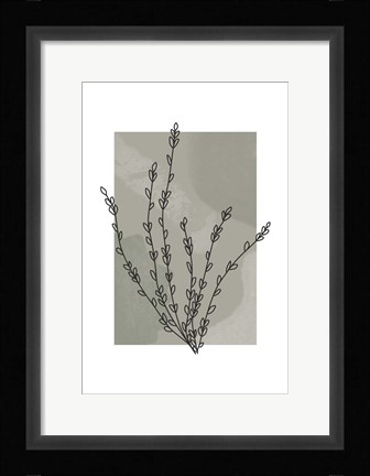 Framed Sage Floral II Print