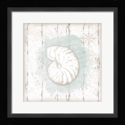 Framed Calming Coastal Shell Print