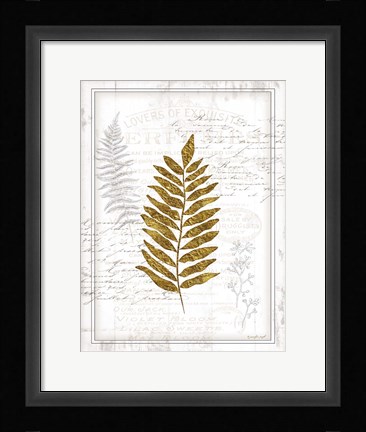 Framed Ferns Print