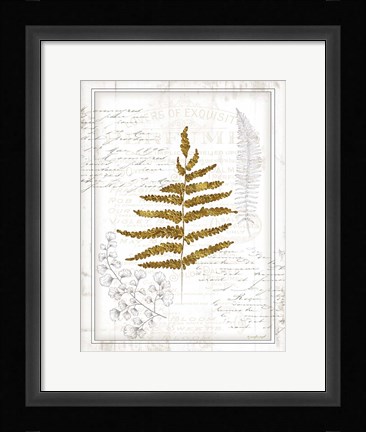 Framed Ferns II Print