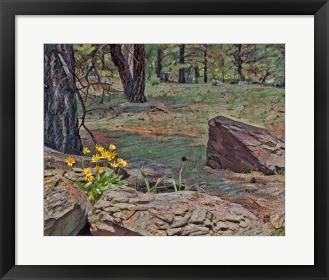 Framed Mule's Ears in Forest Print