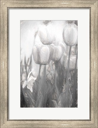 Framed Tulips II Print