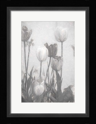 Framed Tulips III Print