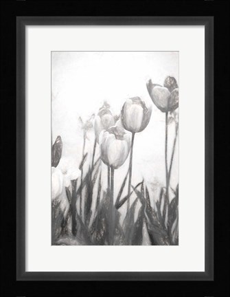 Framed Tulips IV Print
