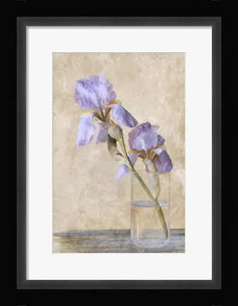 Framed Blue Iris Stem Print