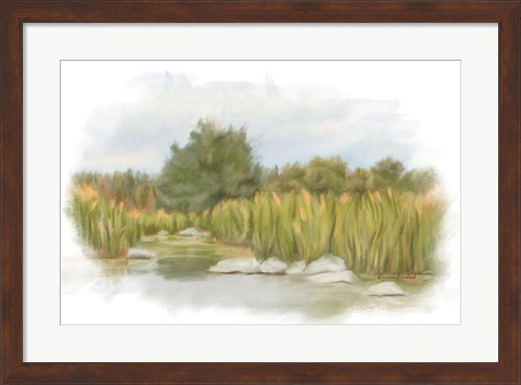 Framed Marshy Wetlands I Print