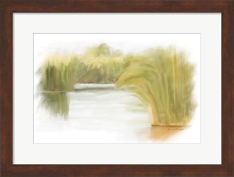 Framed Marshy Wetlands II Print