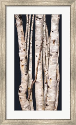 Framed Birch Tree I Print