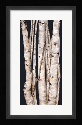 Framed Birch Tree I Print