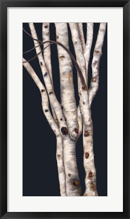 Framed Birch Tree II Print