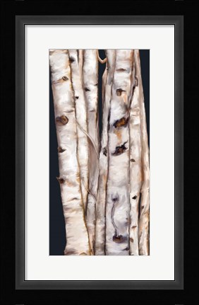 Framed Birch Tree III Print