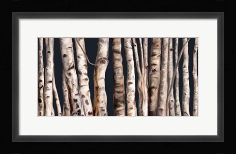 Framed Birch Grove III Print