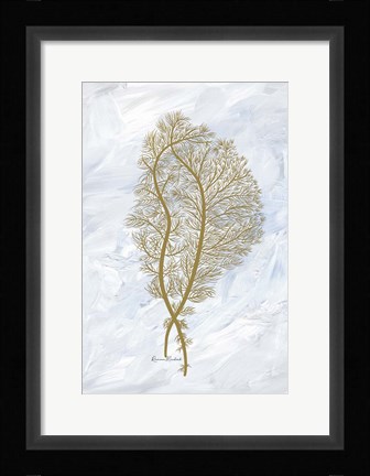Framed Feathery Sea Fern II Print