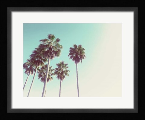 Framed Palms Against The Evening Sky Print
