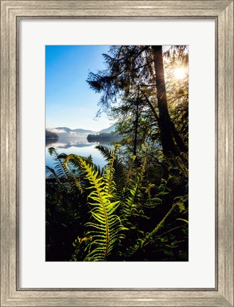 Framed Lake Side View Print