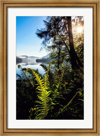 Framed Lake Side View Print