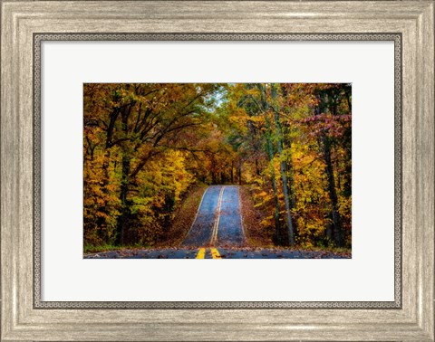 Framed Woodland Road I Print